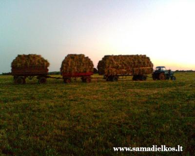 MTZ 80 ir 3 rimtos priekabos