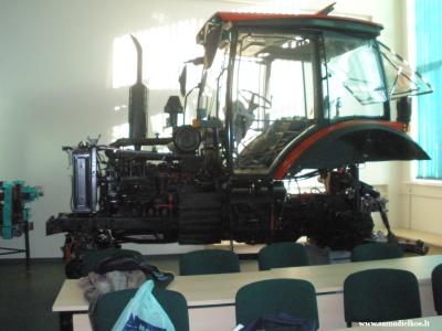 MTZ traktoriaus pjuvei daugelyje vietu.